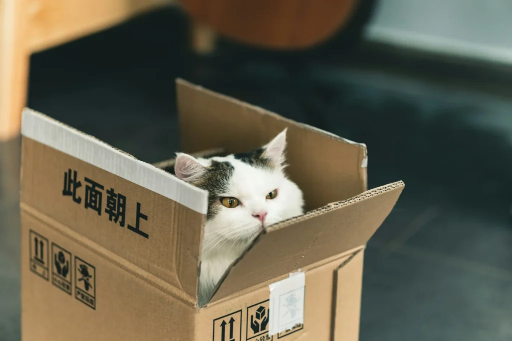 Delivery Box
